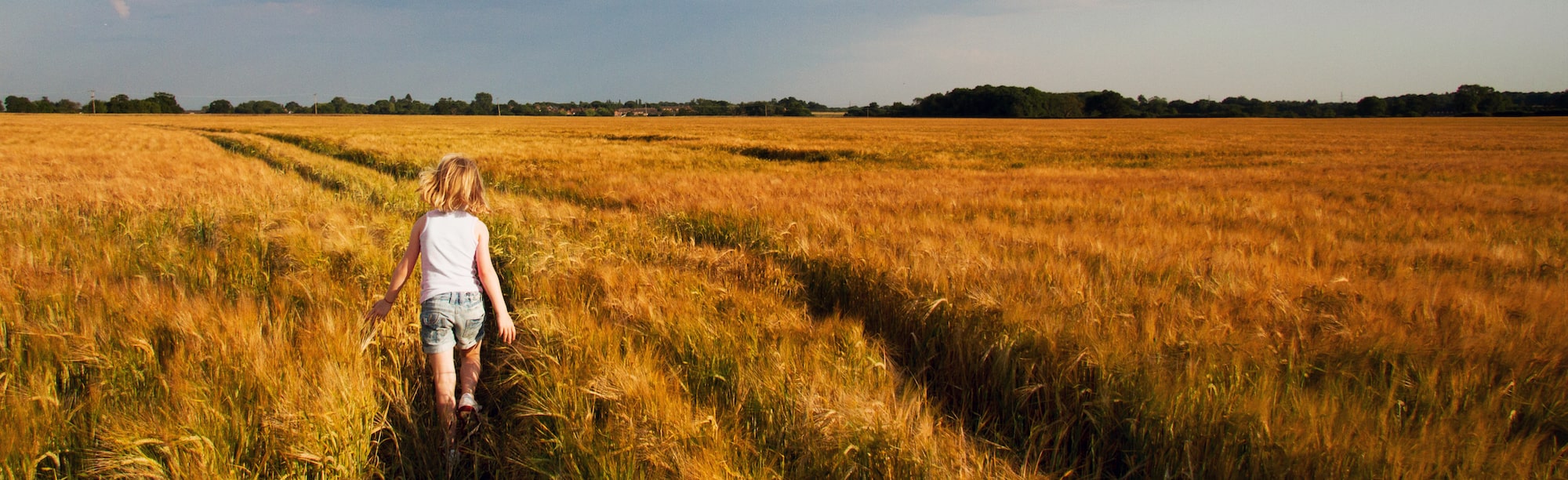 Young girl walking through a field of wheat